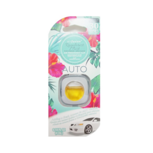 Hs fresh breeze clip on air freshners( rain forest)
