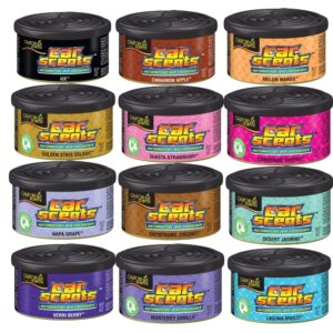 California Scents tin Black Ice1.5oz