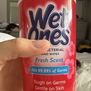 Wet Ones Fresh Scent 40CT Can