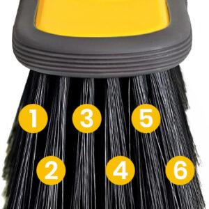 Yellow Broom